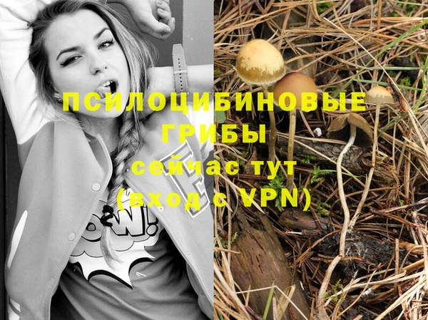 MESCALINE Богданович