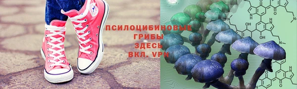 соль курить ск Богородицк