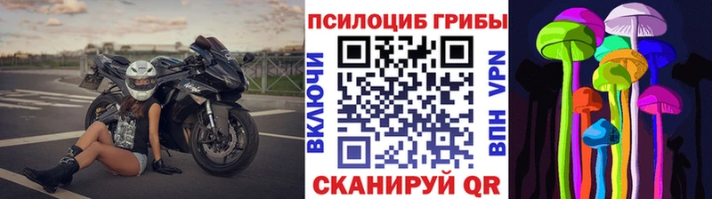 Псилоцибиновые грибы прущие грибы Купить Чита